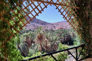 L'oasis de Fint, près de Ouarzazate.