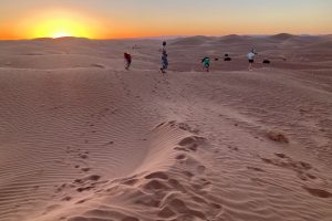 Découverte des dunes.